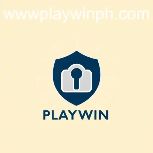 Understanding Privacy Policies: A Deep Dive into PLAYWIN