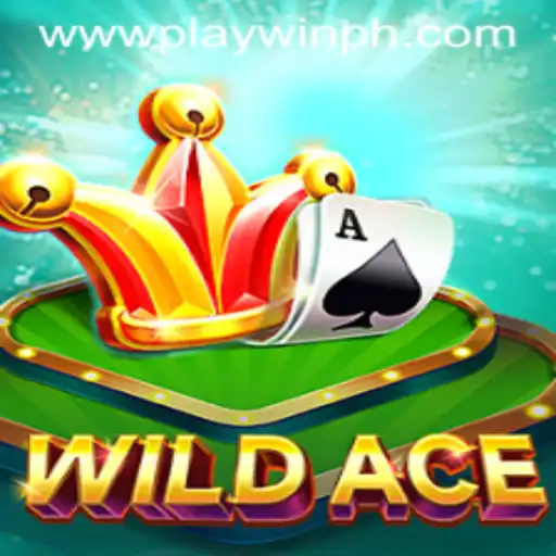 WildAce: The Exciting Game That Connects Strategy and Chance